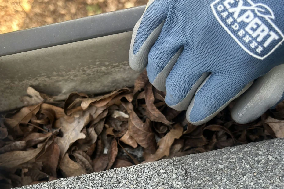 Gutter Cleaning Spring Lake