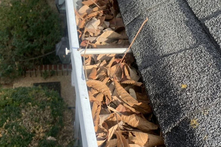 Gutter Cleaning Spring Lake